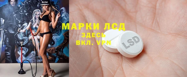 сатива Аркадак