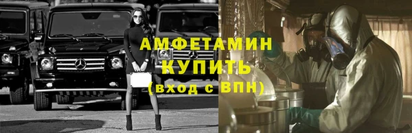 сатива Аркадак