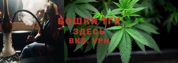 сатива Аркадак