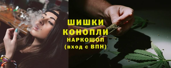 сатива Аркадак