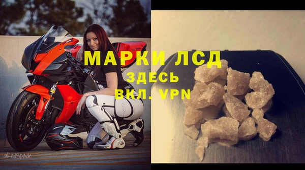 сатива Аркадак